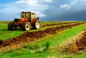 Apetitul romanilor pentru investitii in agricultura este din ce in ce mai mare