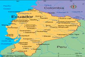 Cea mai mare companie de asigurări din România a început să vândă poliţe în Ecuador