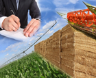 Fonduri europene agricultura 2014: Ministerul Agriculturii s-a imprumutat pentru a asigura cofinantarea proiectelor PNDR